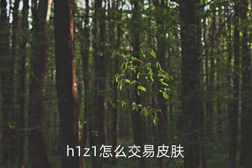 h1z1怎么交易皮肤