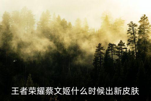 王者荣耀蔡文姬什么时候出新皮肤