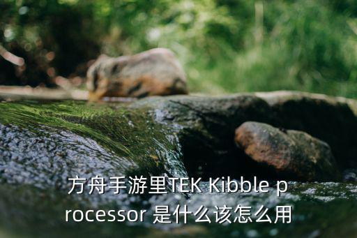 方舟手游前期怎么拿刀，方舟手游里TEK Kibble processor 是什么该怎么用