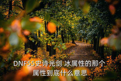 DNF55史诗光剑 冰属性的那个 属性到底什么意思