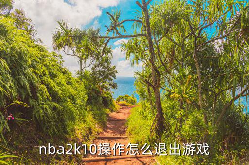 nba2k20手游打完怎么退出采访，nba2k10操作怎么退出游戏