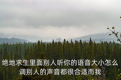 绝地求生里面别人听你的语音大小怎么调别人的声音都很合适而我