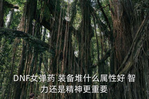 DNF女弹药 装备堆什么属性好 智力还是精神更重要