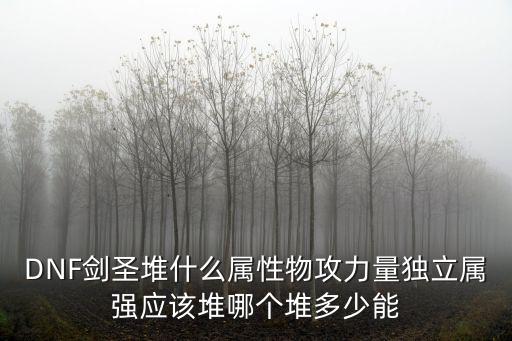 dnf查看角色堆什么属性，DNF剑圣堆什么属性物攻力量独立属强应该堆哪个堆多少能