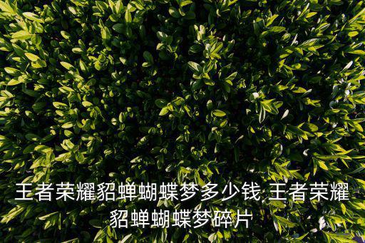 王者荣耀貂蝉蝴蝶梦多少钱 王者荣耀貂蝉蝴蝶梦碎片