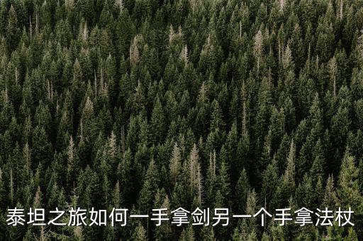泰坦之旅如何一手拿剑另一个手拿法杖