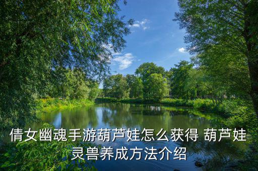 倩女幽魂手游葫芦娃怎么获得 葫芦娃灵兽养成方法介绍