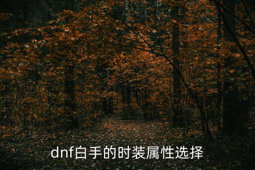 dnf白手选什么属性好，dnf白手的时装属性选择