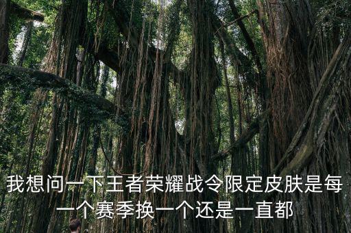 我想问一下王者荣耀战令限定皮肤是每一个赛季换一个还是一直都