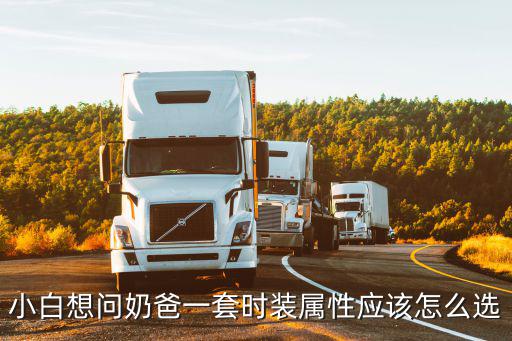 小白想问奶爸一套时装属性应该怎么选
