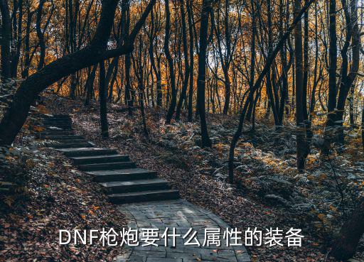 dnf枪炮武器什么属性好，DNF枪炮要什么属性的装备