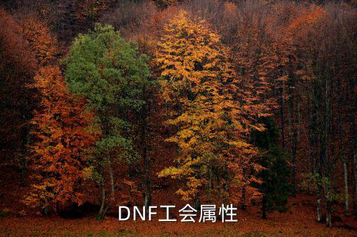 DNF工会属性