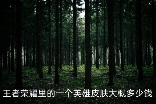 王者荣耀里的一个英雄皮肤大概多少钱