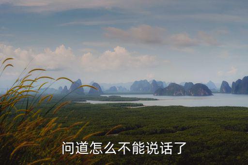 问道怎么不能说话了