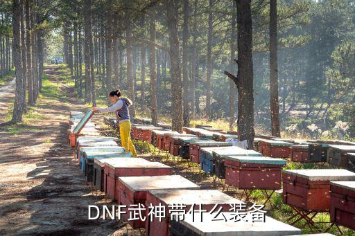 DNF武神带什么装备