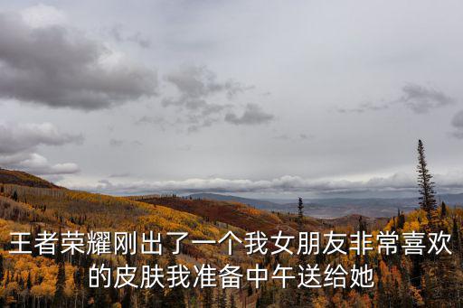 王者荣耀瑶新皮肤多少，王者荣耀有多少个皮肤