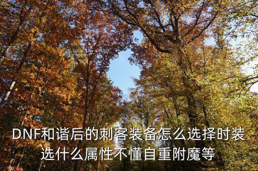 DNF和谐后的刺客装备怎么选择时装选什么属性不懂自重附魔等