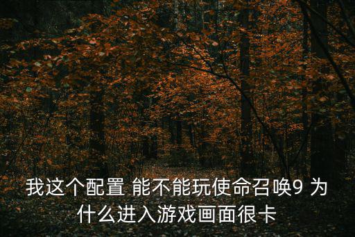 使命召唤手游imax 9怎么配，这配置可以玩使命召唤9吗全低也可以如果不行推荐个游戏