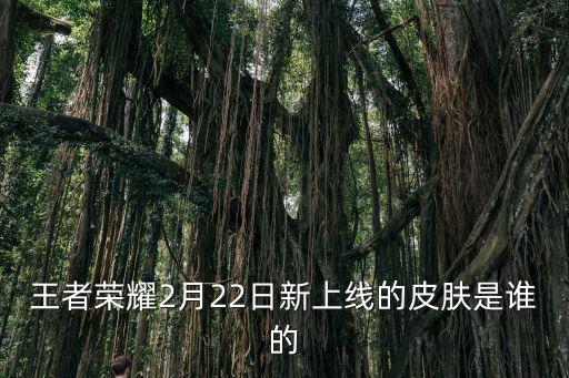 王者荣耀2月22日新上线的皮肤是谁的