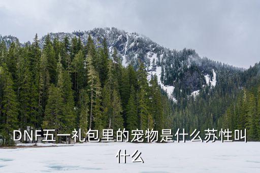 DNF五一礼包里的宠物是什么苏性叫什么