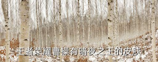 王者荣耀的曹操新皮肤是什么，王者荣耀曹操有暗夜之王的皮肤