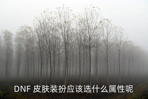 DNF 皮肤装扮应该选什么属性呢