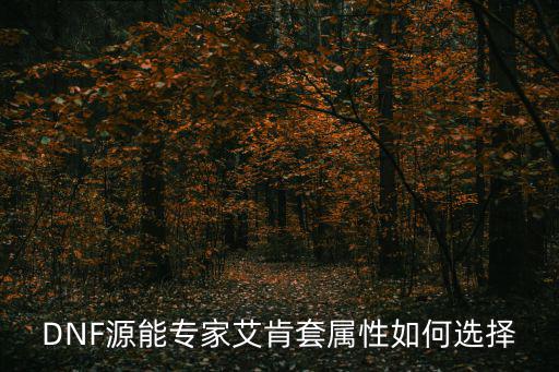 DNF源能专家艾肯套属性如何选择