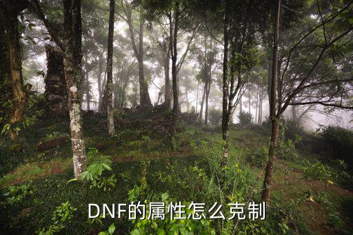DNF的属性怎么克制