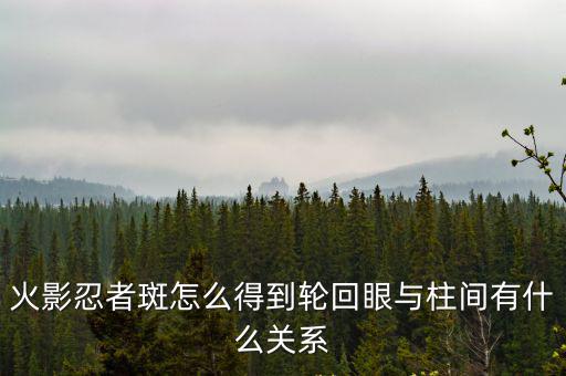 火影忍者新世代手游斑怎么抽，1377疾风英雄之火影英雄怎样得斑的召唤卡