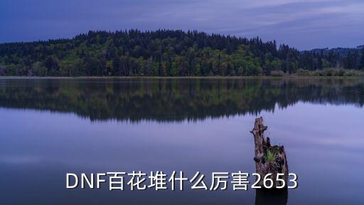 dnf花花堆什么属性好，DNF百花堆什么厉害2653