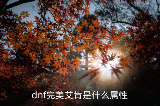 dnf完美艾肯是什么属性