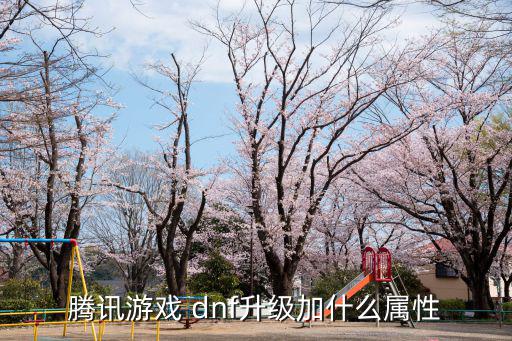 dnf恍惚升级后什么属性，DNF升级属性加成