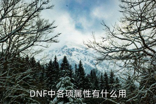 dnf全属性有什么好处，地下城与勇士中属性的用处