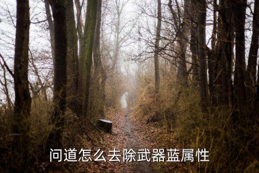 问道怎么去除武器蓝属性