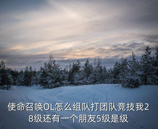 使命召唤OL怎么组队打团队竞技我28级还有一个朋友5级是级