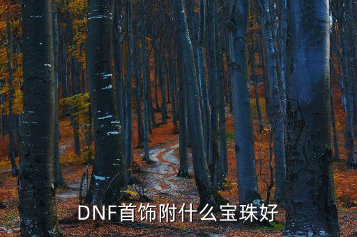 dnf属性宝珠选什么好，DNF首饰附什么宝珠好