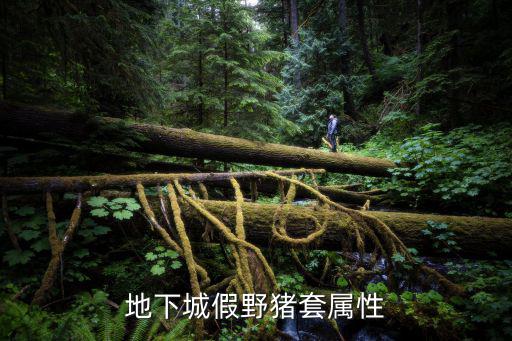 地下城假野猪套属性