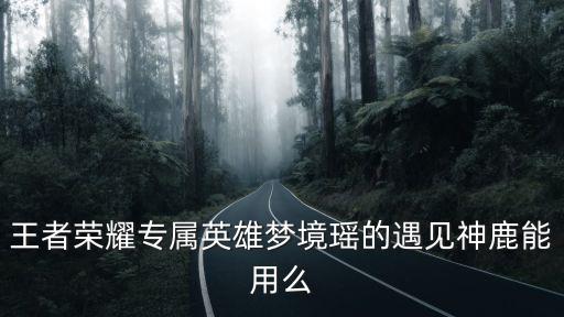 王者荣耀专属英雄梦境瑶的遇见神鹿能用么