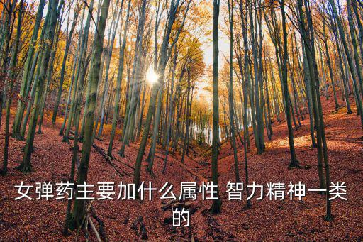 女弹药主要加什么属性 智力精神一类的