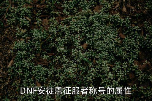 DNF安徒恩征服者称号的属性
