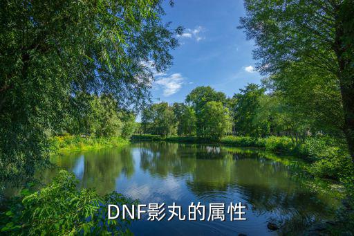 dnf影丸属于什么属性，DNF影丸的属性