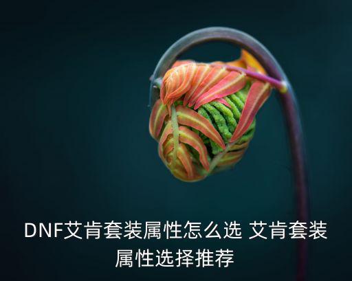 DNF艾肯套装属性怎么选 艾肯套装属性选择推荐