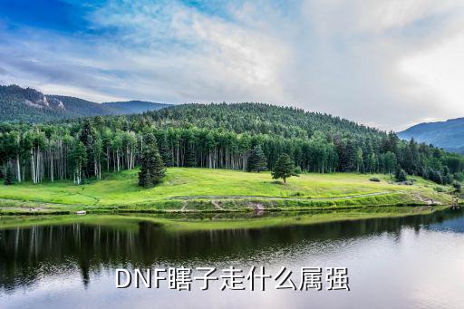 dnf瞎子90走什么属性，瞎子走什么属性攻击