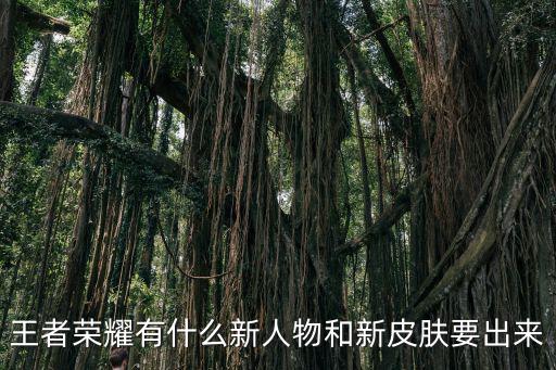 王者荣耀有什么新人物和新皮肤要出来