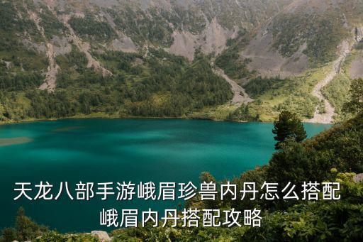 天龙八部手游峨眉珍兽内丹怎么搭配 峨眉内丹搭配攻略