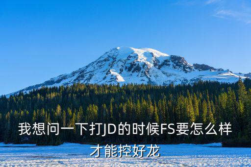 我想问一下打JD的时候FS要怎么样才能控好龙