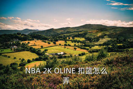 nba2k20手游怎么换扣篮，NBA 2K OLINE 扣篮怎么弄