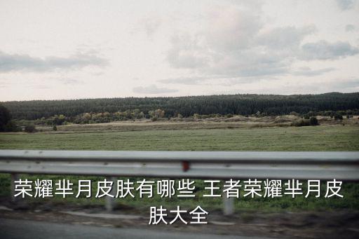 荣耀芈月皮肤有哪些 王者荣耀芈月皮肤大全