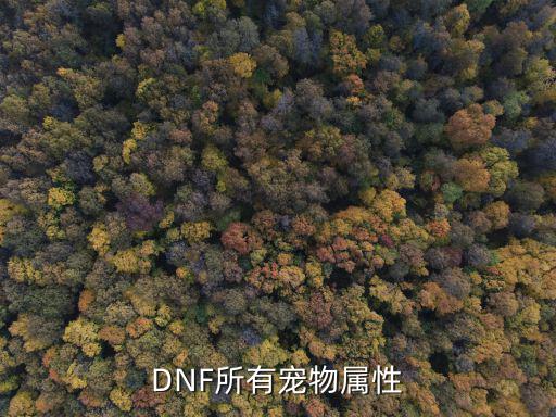 dnf免费宠物有什么属性，DNF免费宠物要进化几次属性各是什么