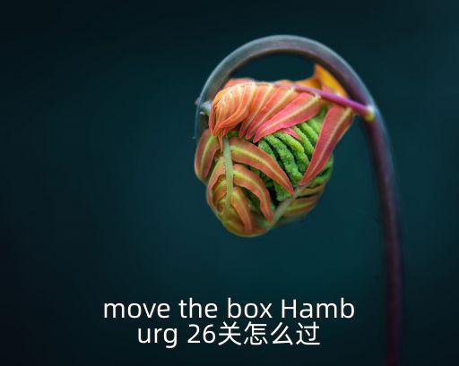 move the box Hamburg 26关怎么过